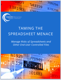 Taming the Spreadsheet Menace white paper Taming the Spreadsheet Menace white paper